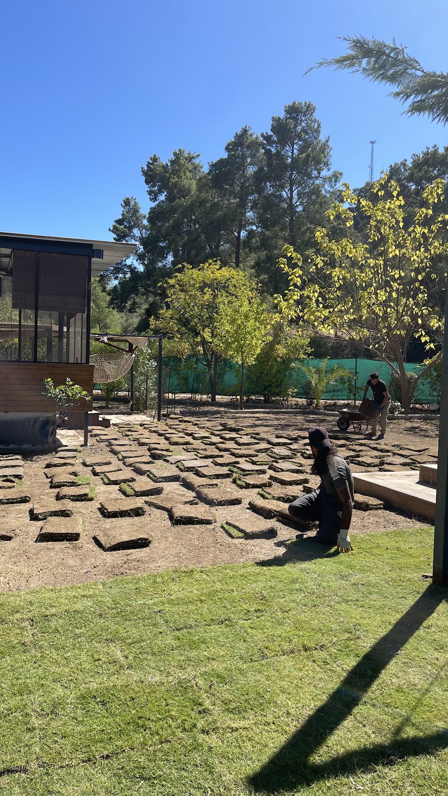Terraform landscaping Yerel İşletme fotoğrafı 5