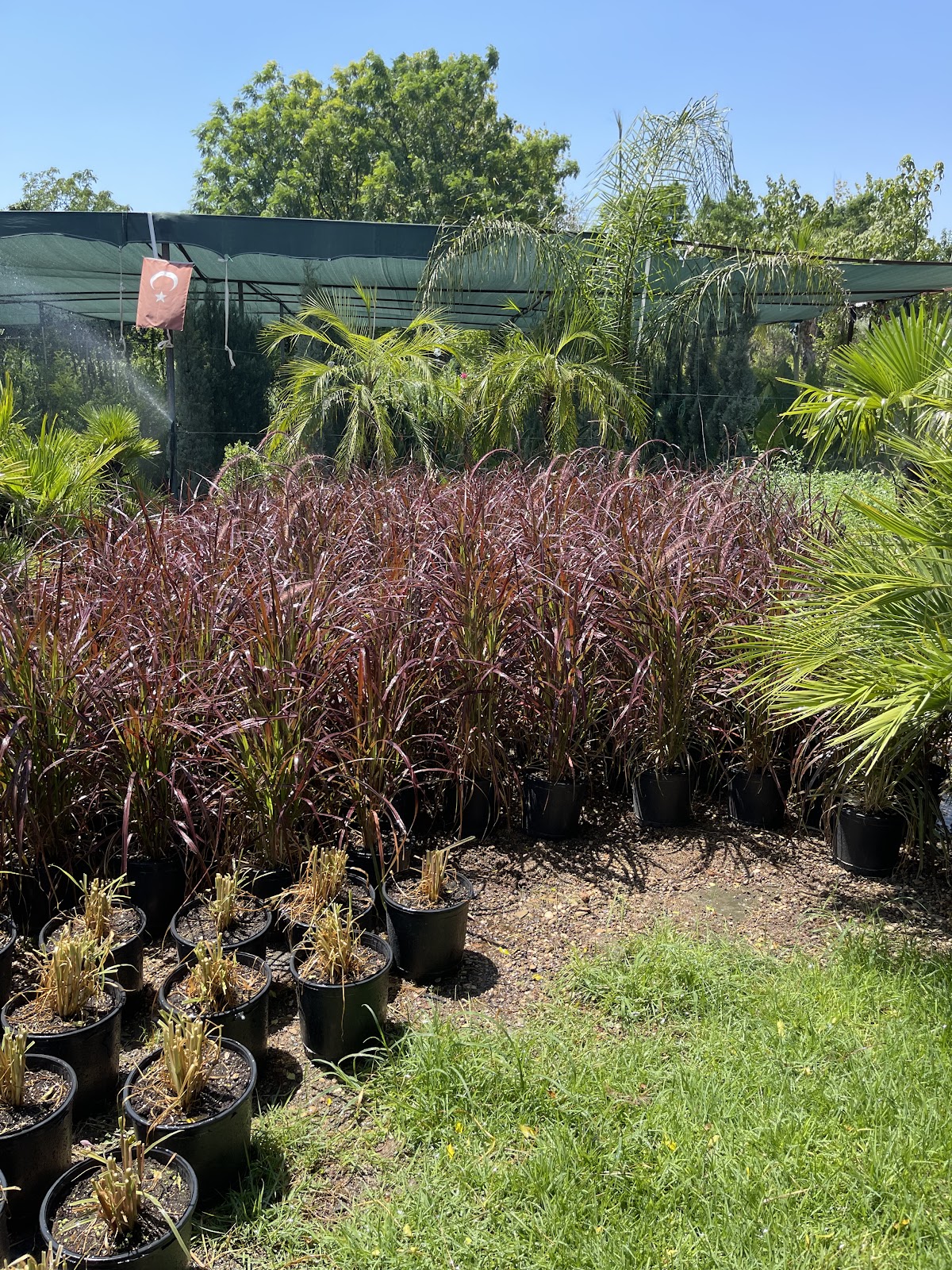 Terraform landscaping Yerel İşletme fotoğrafı 6